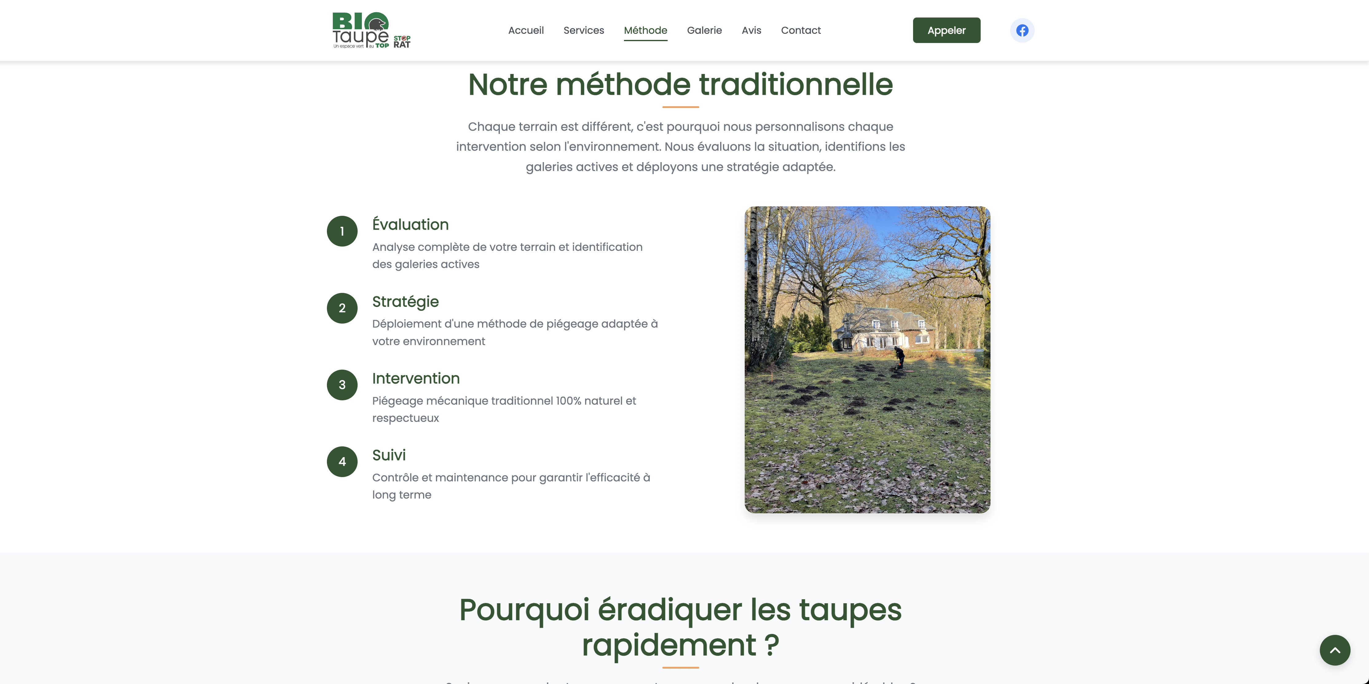 Site e-commerce après